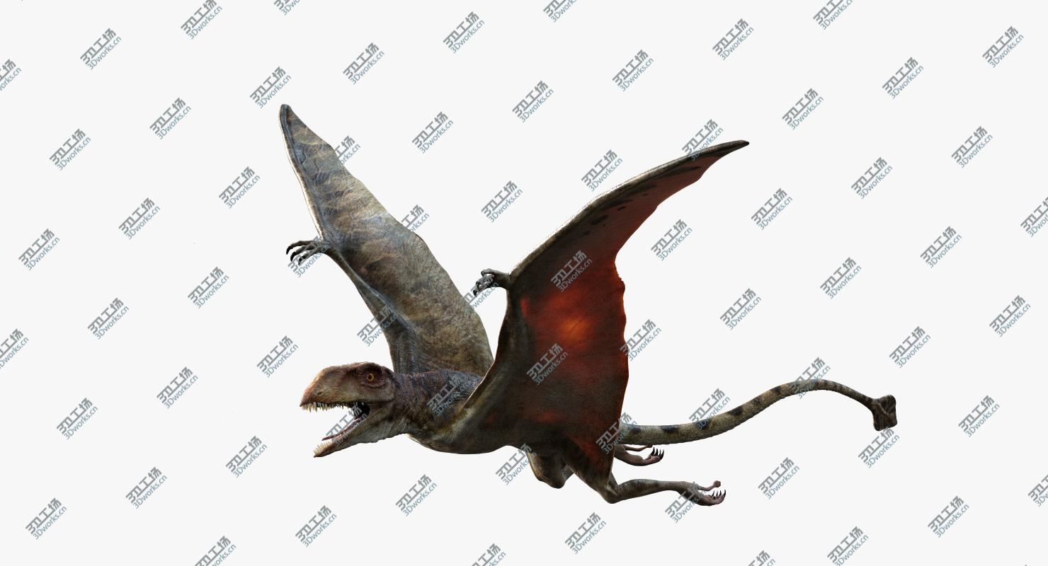 images/goods_img/202104094/Peteinosaurus (Rigged) 3D model/3.jpg